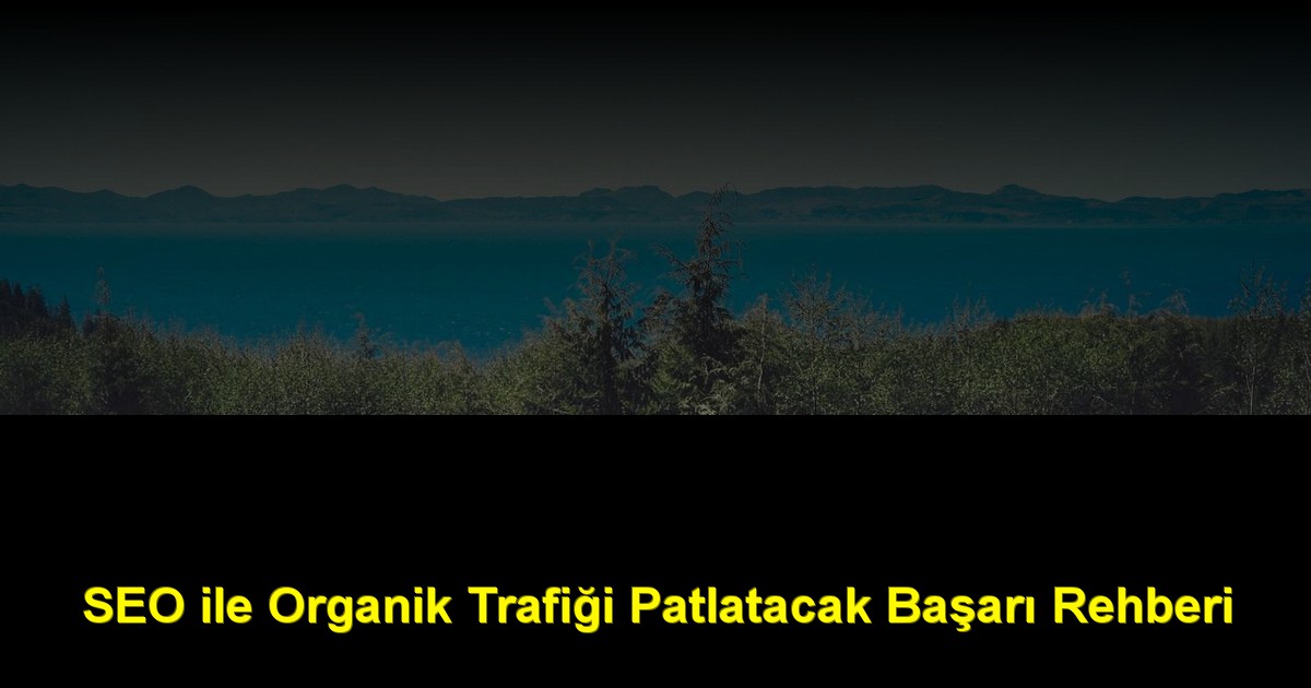 SEO ile Organik Trafiği Patlatacak Başarı Rehberi