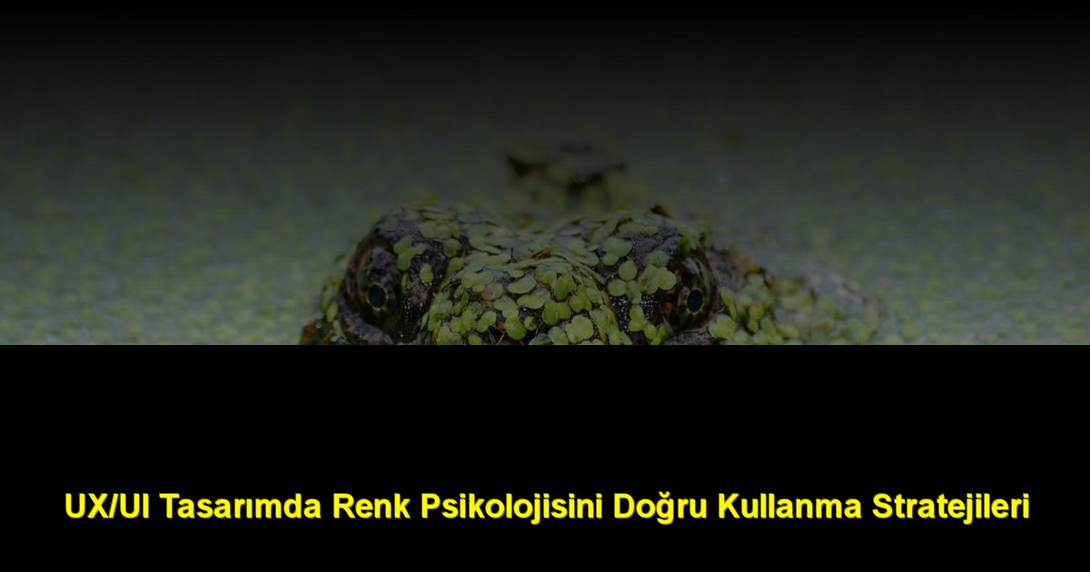 UX/UI Tasarımda Renk Psikolojisini Doğru Kullanma Stratejileri